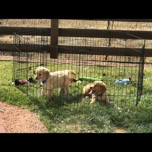 Meet your Posher, Rick